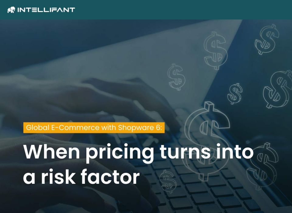 Shopware 6 & Internationalisation: Opportunities and Risks of Adaptive Pricing
