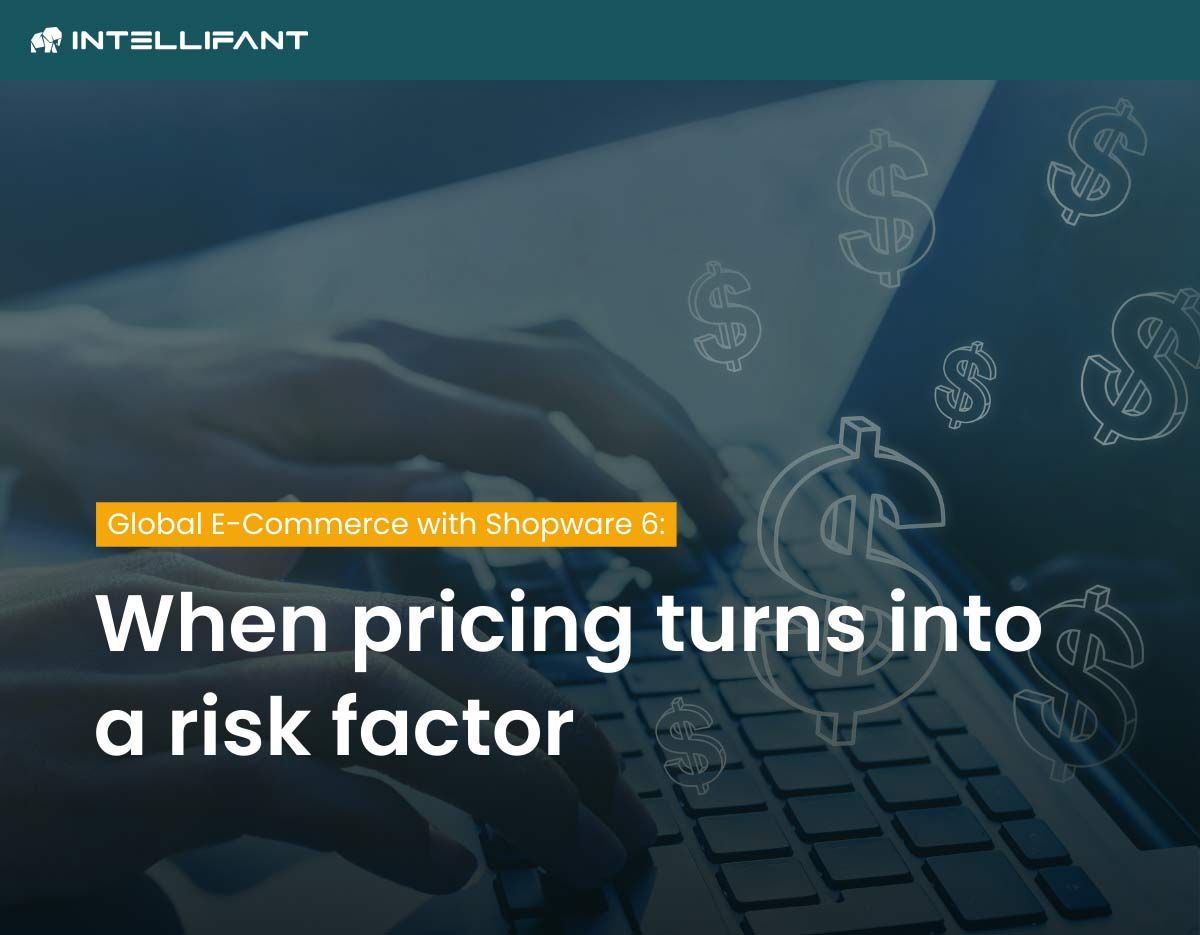 Shopware 6 & Internationalisation: Opportunities and Risks of Adaptive Pricing