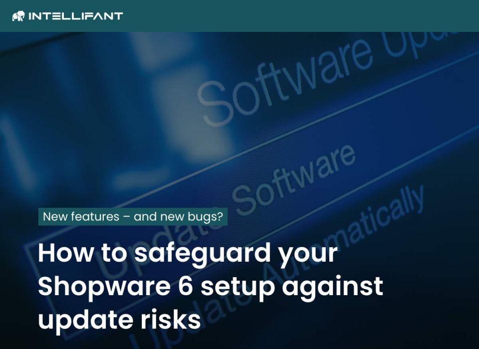 Greater security in e-commerce: Protect Shopware 6 from risks posed by updates
