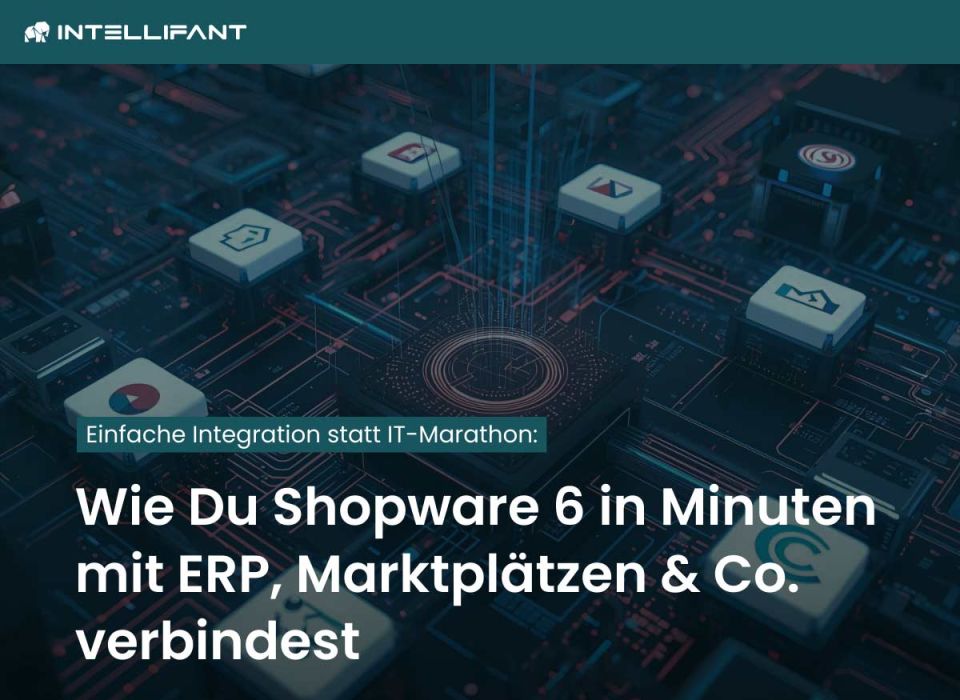 Automatisierung auf neuem Level: Shopware 6 clever integrieren