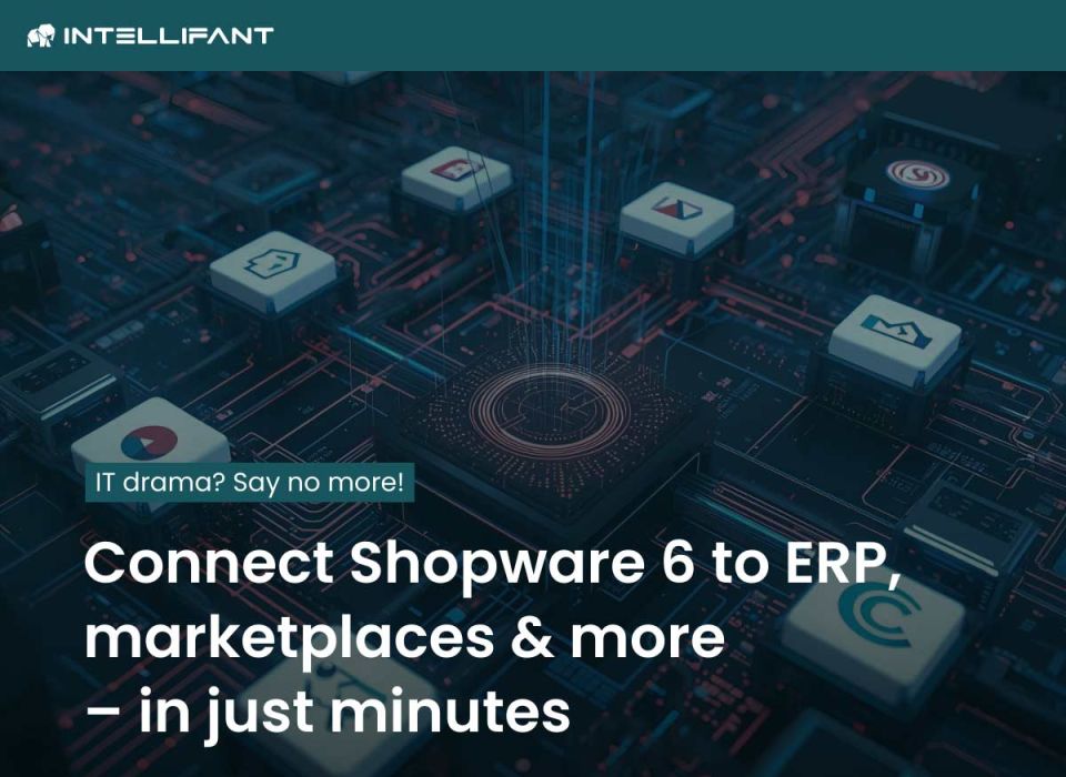 Automation on a new level: cleverly integrating Shopware 6