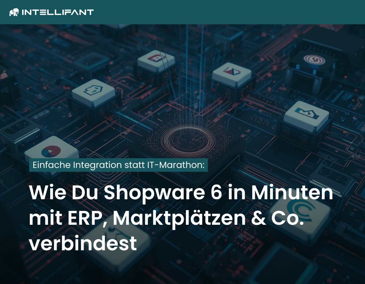 Automatisierung auf neuem Level: Shopware 6 clever integrieren