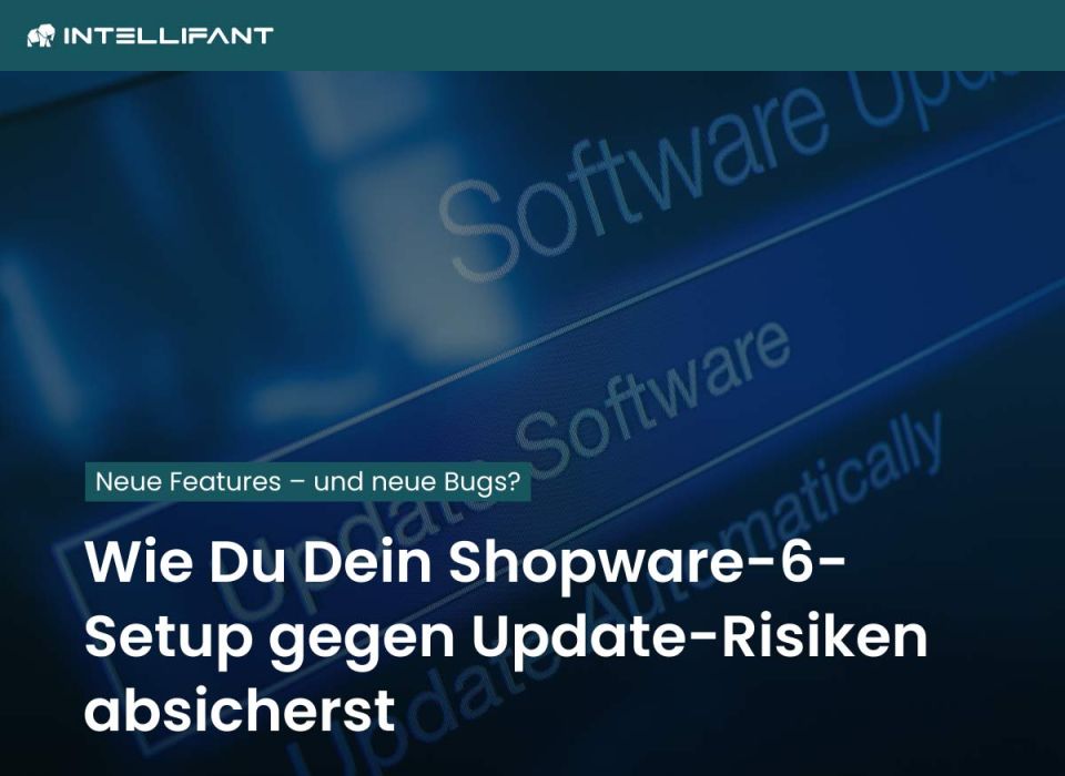 Mehr Sicherheit im E-Commerce: Shopware 6 vor Risiken durch Updates schützen